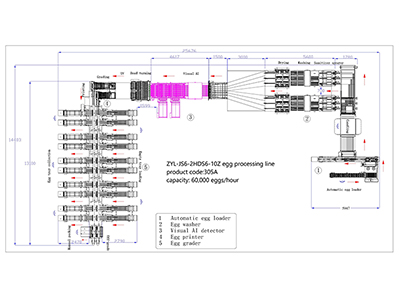 Линия обработки яиц 305A
