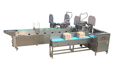 Линия обработки яиц 305A