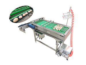 Система сбора яиц 605G Table